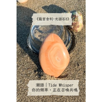 珊瑚舍利・潮語｜TideWhisper（V856-8）