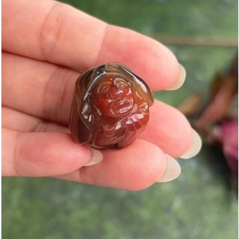 火火紅紅靜坐羅漢（U73）