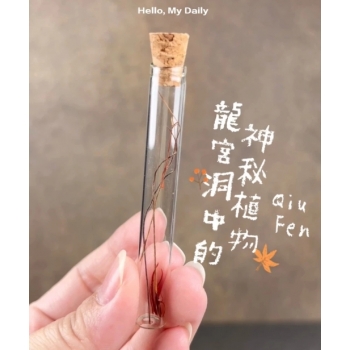 髮舍利‧與佛法的默契交流（V766）