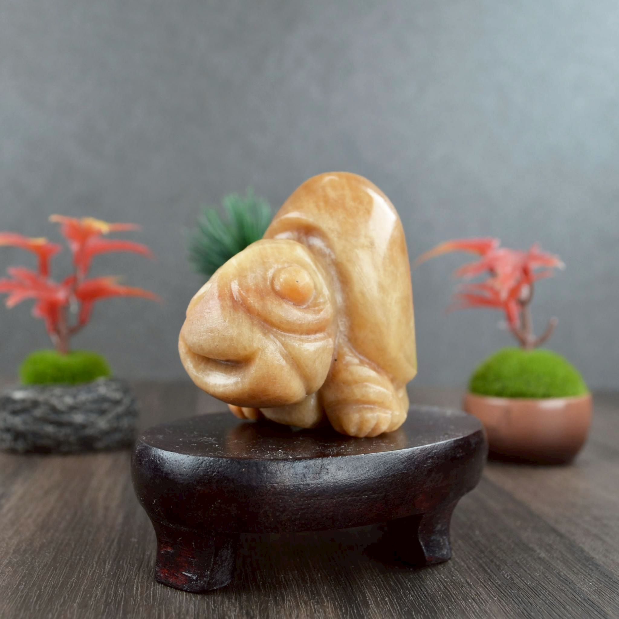 【9-12月守護靈獸：展現獨特力量，活出最美的自己！】